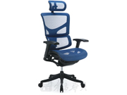 Mesh Executive Chair